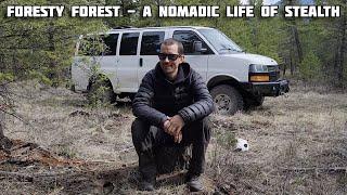 Foresty Forest Backstory - A Nomadic Life of Stealth - Van Life