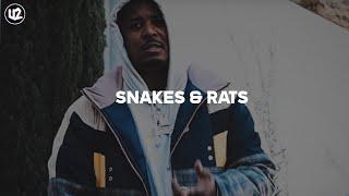 Drakeo The Ruler x Ralfy The Plug Type Beat - "Snakes & Rats"