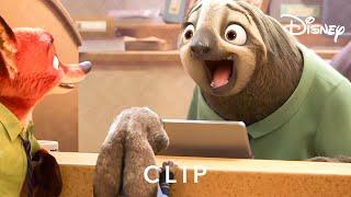 Flash The Sloth | Zootropolis | Disney UK