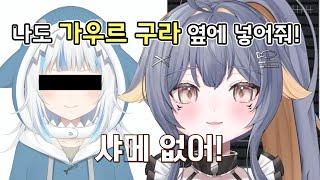 '가우르 구라' 옆에 적히고 싶은 국산 레몬상어 버튜버  | 버츄얼 유튜버 샤쿠이 샤메이