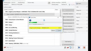 How to flash engine ecu with VAS6154 and Odis Engineering on VAG Group