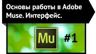 Основы работы в Adobe Muse. Интерфейс Adobe Muse. Урок 2