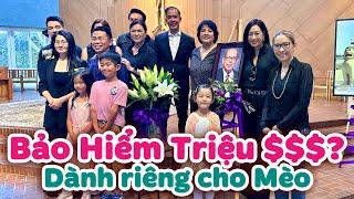 Cảm Ơn Chị.... Người Phụ Nữ Đặc Biệt Và Món Quà Ý Nghĩa Dành Cho Bé Mèo I Duc Tien Official