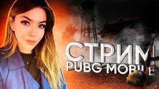 Качаем ранг/ Апаем завика/ Стрим PUBG mobile