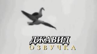 Джавид: Свежая Озвучка