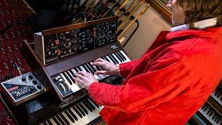 Moog Minimoog Model D Analog Synthesizer Reissue | Demo and Overview with Mikael Jorgensen