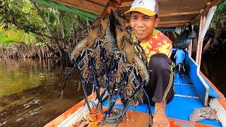 Sangat memuaskan mancing kali ini, 1 spot sampai 4 babon udang berhasil diselamatkan