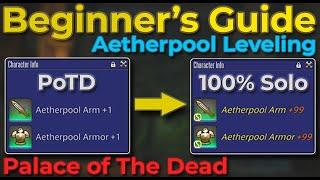 How to: Aetherpool Farm/Level in Palace of the Dead/PoTD - 100% Solo - From Unlock to Necromancer