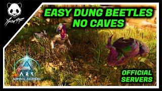 The EASY Way Of Getting DUNG BEETLES In The Center - Without Going In Caves | ARK: Survival Ascended