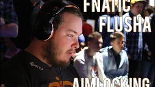 Fnatic Flusha aimlock through walls live at Dreamhack Winter - LDLC vs Fnatic