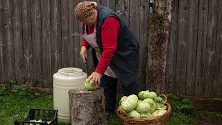 The BEST Romanian SAUERKRAUT ️ Whole CABBAGE HEADS Pickled for WINTER ️ Varza Murata pt Sarmale