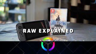 What is RAW? - Video Tech Explained