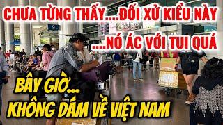 QUÁ SỢ HÃI ANH VIỆT KIỀU HƠN CHỤC NĂM KHÔNG DÁM BƯỚC CHÂN VỀ VIỆT NAM CŨNG BỞI ĐIỀU NÀY....