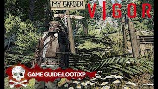 Vigor - Fast Guide to Loot & Quick XP