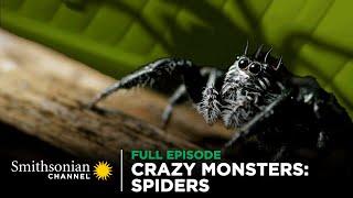 Crazy Monsters: Spiders ️ FULL EPISODE | Smithsonian Channel