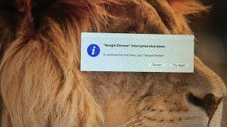 Google Chrome interrupted Shutdown MacBook Air