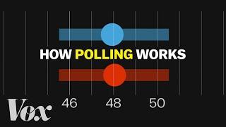 What polls can actually tell us