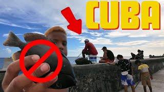 WHY IS THERE NO FISH IN CUBA?