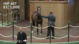 Delahaye sells for $700,000 at 2025 Keeneland January