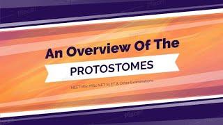 An Overview Of The Protostomes