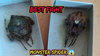 Giant VS Monster - Spider fight 