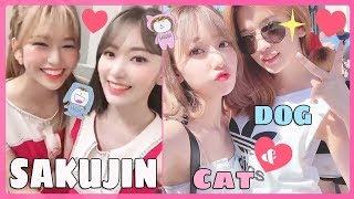 (EN SUB) IZONE - SAKUJIN / CAT Unnie & DOG Maknae 아이즈원  アイズワン,