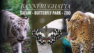 Bannerghatta National Park Bengaluru | Safari + Butterfly park + Zoo + Online ticket booking guide