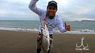 Pesca De Playa - Pargos - Corvinas Y Jureles Toro