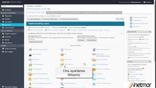 Plesk Panel Domain DNS Ayarları