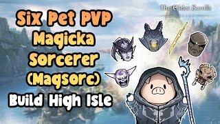 ESO Six Pet Magicka Sorcerer (Magsorc) PVP High Isle meme build.