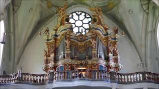 Orgelexkursion mit Domorganist Prof. Franz Comploi