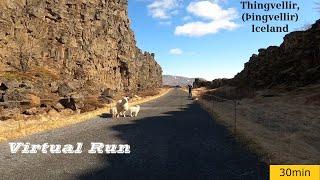 Virtual Running Videos For Treadmill | Thingvellir | UNESCO  | Iceland POV Run | 5K | 30min