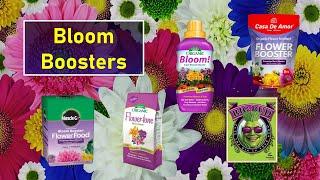 Bloom Boosters - Do They Work?