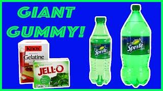 GIANT GUMMY SPRITE SODA BOTTLE  FROM JELLO - The Toy Bunker