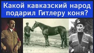Кто подарил Гитлеру белого коня - чеченцы, дагестанцы, кабардинцы или...