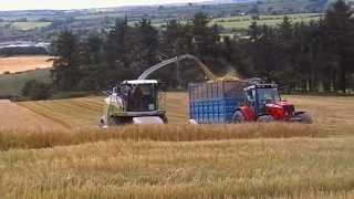 Claas 970 Harvesting Wholecrop 2014