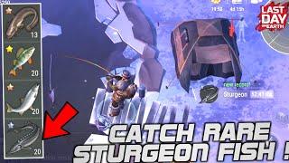How To Catch Sturgeon Fish  !! Last Day On Earth Survival