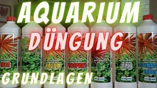 Aquarium düngen?! Was ist der beste Dünger für Aquarienpflanze /Aquarium Dünger für Aquascapes