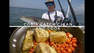 COBIA CATCH CLEAN and COOK!! Ft. How to Fillet Cobia