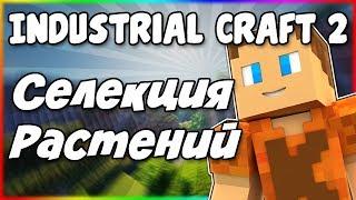 Гайд по Industrial Craft 2 1.12.2 #7 Селекция