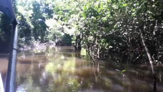 Xingu River May 2011