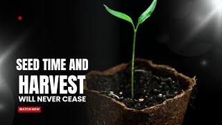 Seed Time and Harvest Will Never Cease  | Reconciliation & Miracle Ministry | 13th Oct 2024