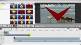 Guida all'uso di AVS Video Editor (italiano)