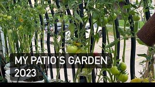 My patios garden 2023 