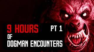 9 HOURS OF DOGMAN ENCOUNTERS [ANNIVERSARY SPECIAL] - What Lurks Beneath