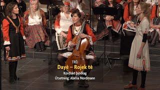 12 & 13  Dayê – Rojek tê & Ander Sevdaluk