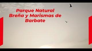 PARQUE NATURAL BREÑA Y MARISMAS DE BARBATE