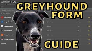 GREYHOUND BETTING - How to read Greyhound form