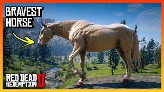 Top 4 BRAVEST Horse You Must OWN (Location & Rankings) - RDR 2