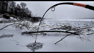 ШОКИРУЮЩИЙ МОНСТР НЕ ЛЕЗЕТ В ЛУНКУ!! Первый лед на Оби. Трофейная рыбалка.Крупный окунь.